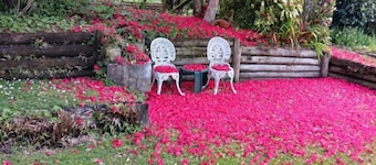 Magpie Cottage - Homestay B&B