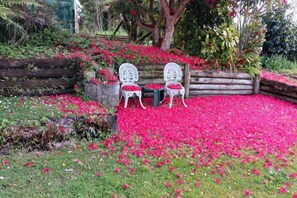 Unclassified image, 3 of 12, button - Magpie Cottage - Homestay B&B (Taumarunui)