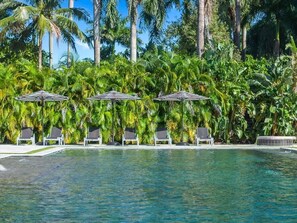 Pool - Luxury 6BR Estate w/ Heated Pool & Huge Parking (Miami)