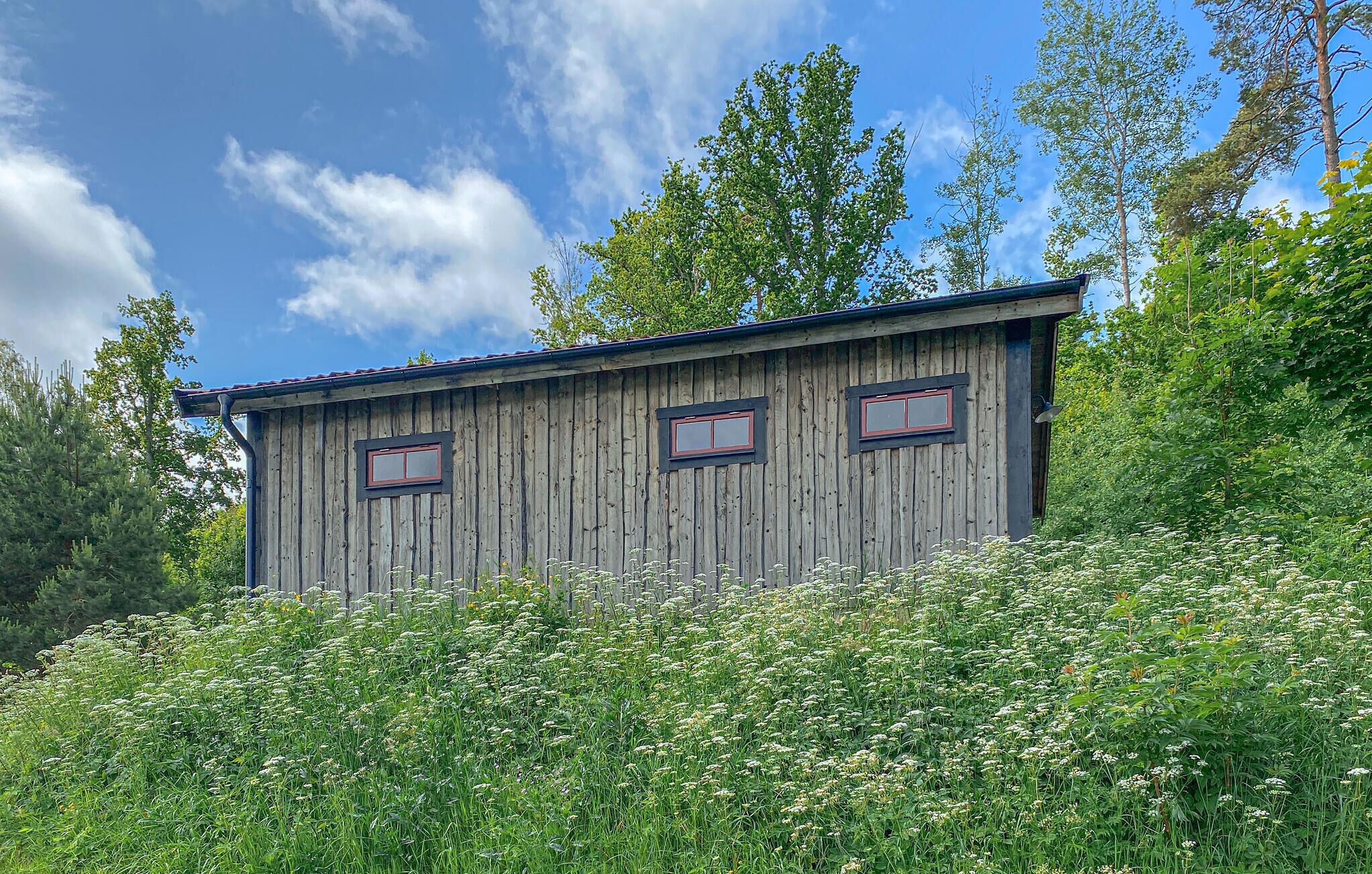 A wooden cabin with two windows, surrounded by dense greenery and trees.