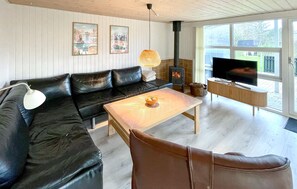 Smart-TV, Kamin