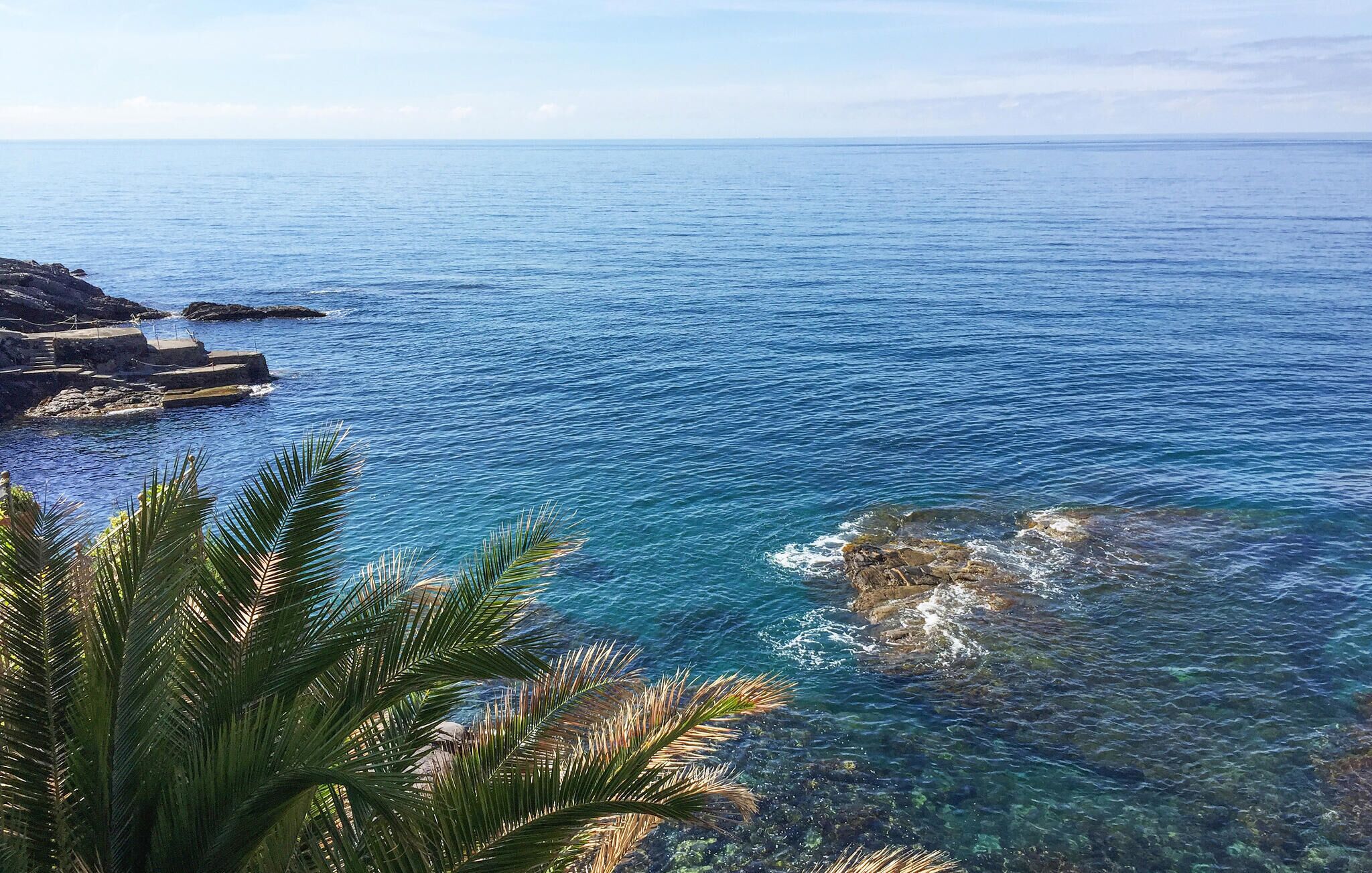 Blick auf die Küste mit klarem, blauem Wasser, Felsformationen und Palmen.
