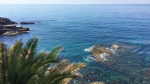 A coastal view with clear blue water, rocky formations, and palm trees. - Cozy apartment in Bogliasco with WiFi (Bogliasco)