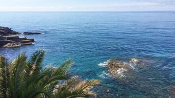 Blick auf die Küste mit klarem, blauem Wasser, Felsformationen und Palmen.