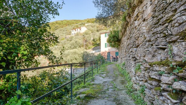 A stone staircase leading up to a building with a rustic appearance, surrounded by greenery and a hillside in the background. - Cozy apartment in Bogliasco with WiFi (Bogliasco)