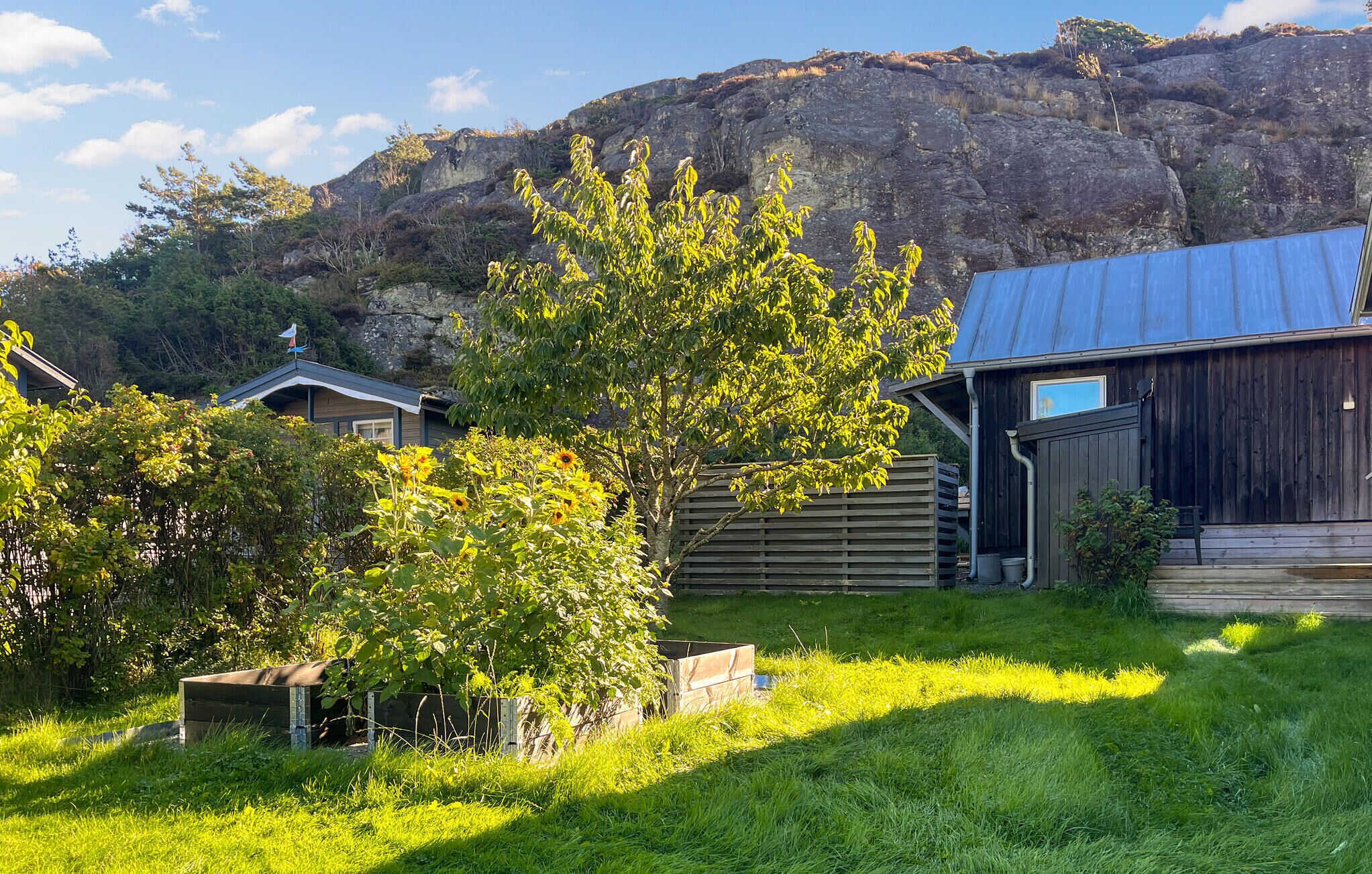 A rustic wooden barn with a metal roof, surrounded by lush greenery and a clear blue sky.
