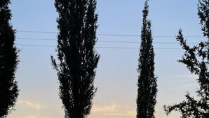A stone-paved area with tall trees framing a view of a town and distant mountains during sunset.