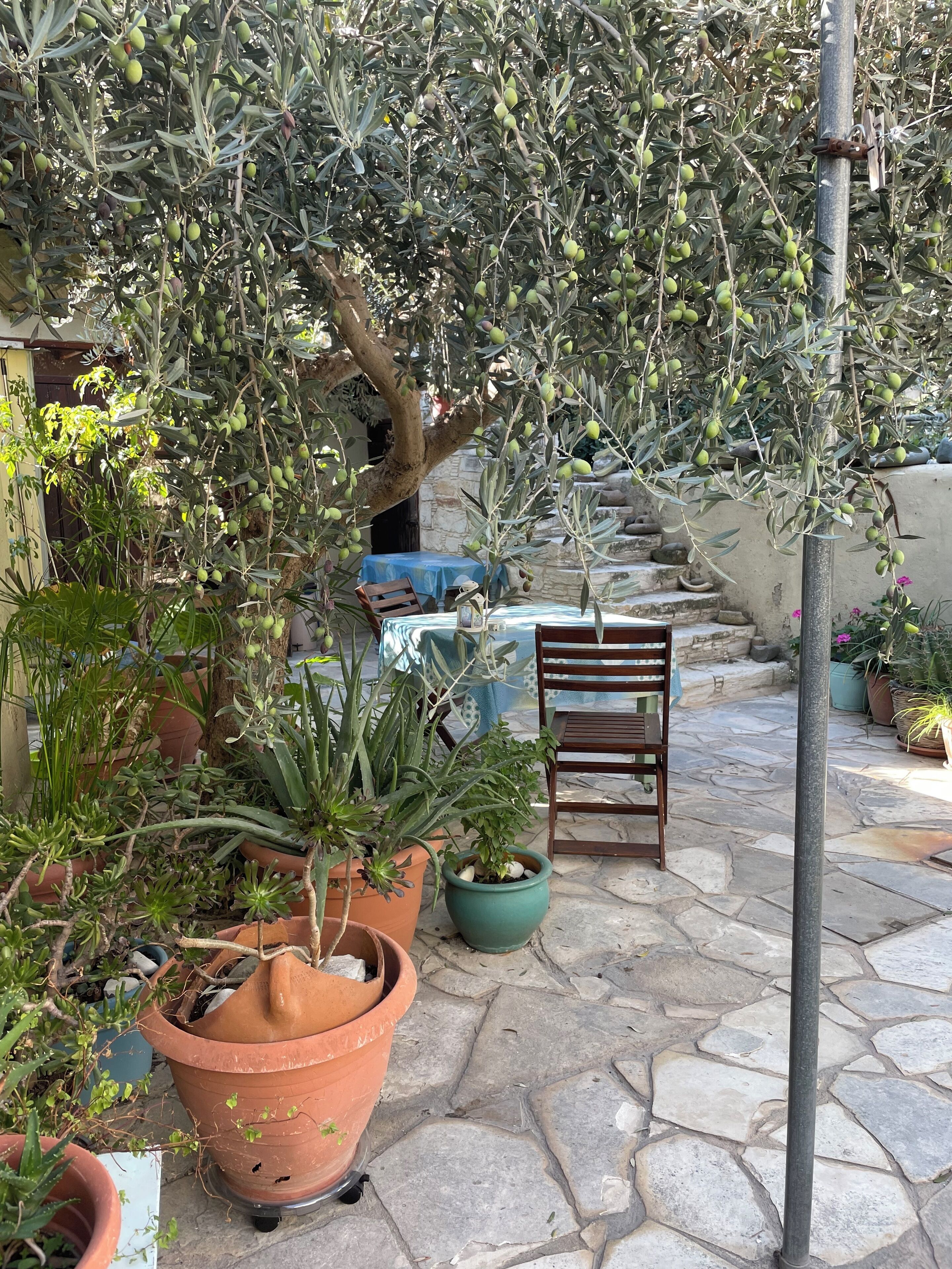 Ristorazione all'aperto