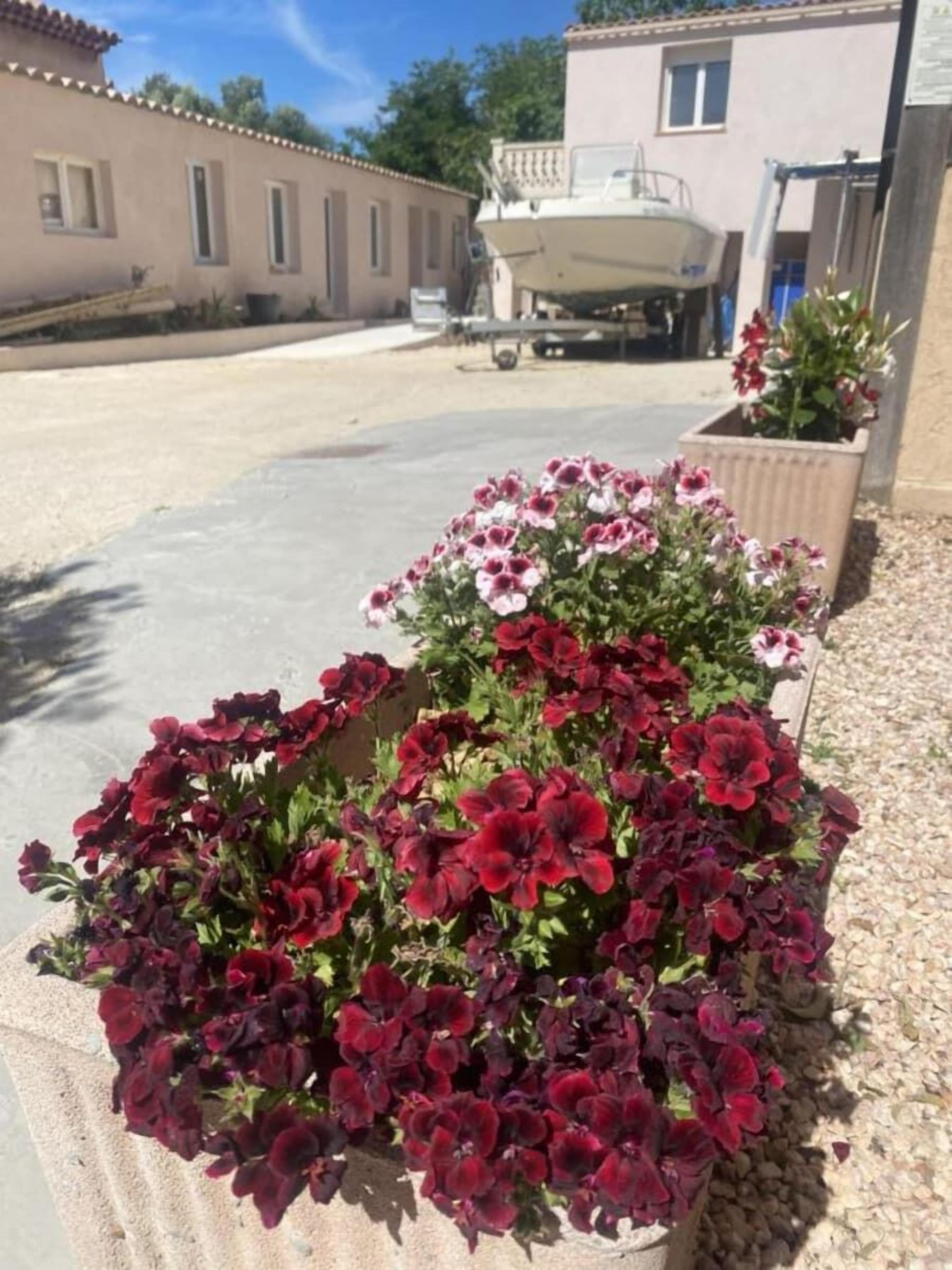 Jardín