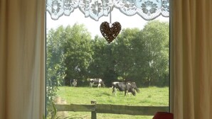 Een raam met uitzicht op een groen veld en koeien, een kantgordijn en een hartvormige decoratie.