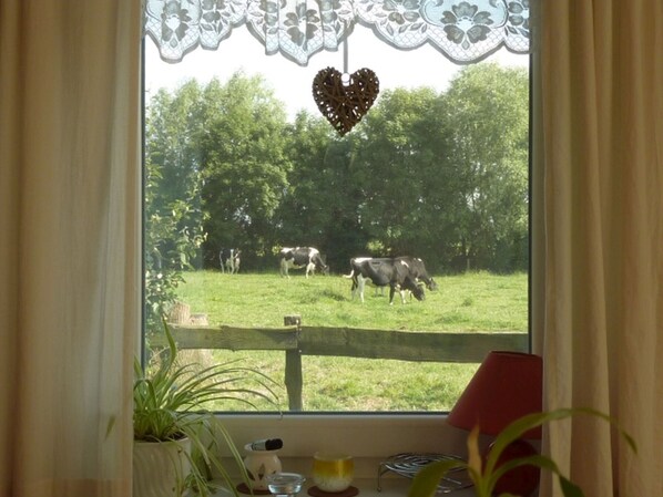 A window with a view of a green field and cows, a lace curtain, and a heart-shaped decoration.