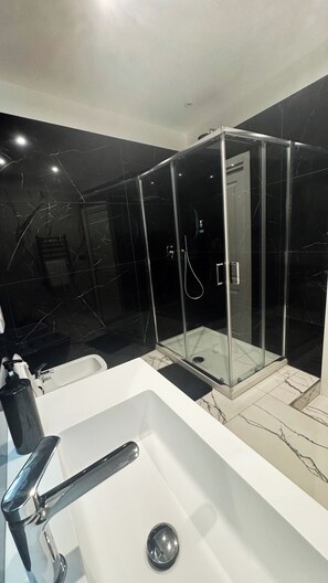 Shower, hair dryer, bidet, towels