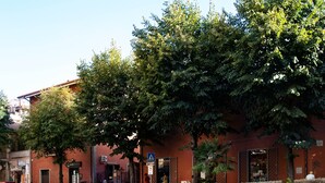 A building with a brick facade, a storefront, and a tree in front. - THE HOUSE OF JANUS (Ciampino)