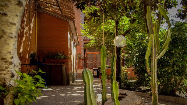 A garden with cacti and a brick building. - THE HOUSE OF JANUS (Ciampino)