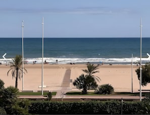 A beach with a clear sky, palm trees, and a pathway leading to the water.