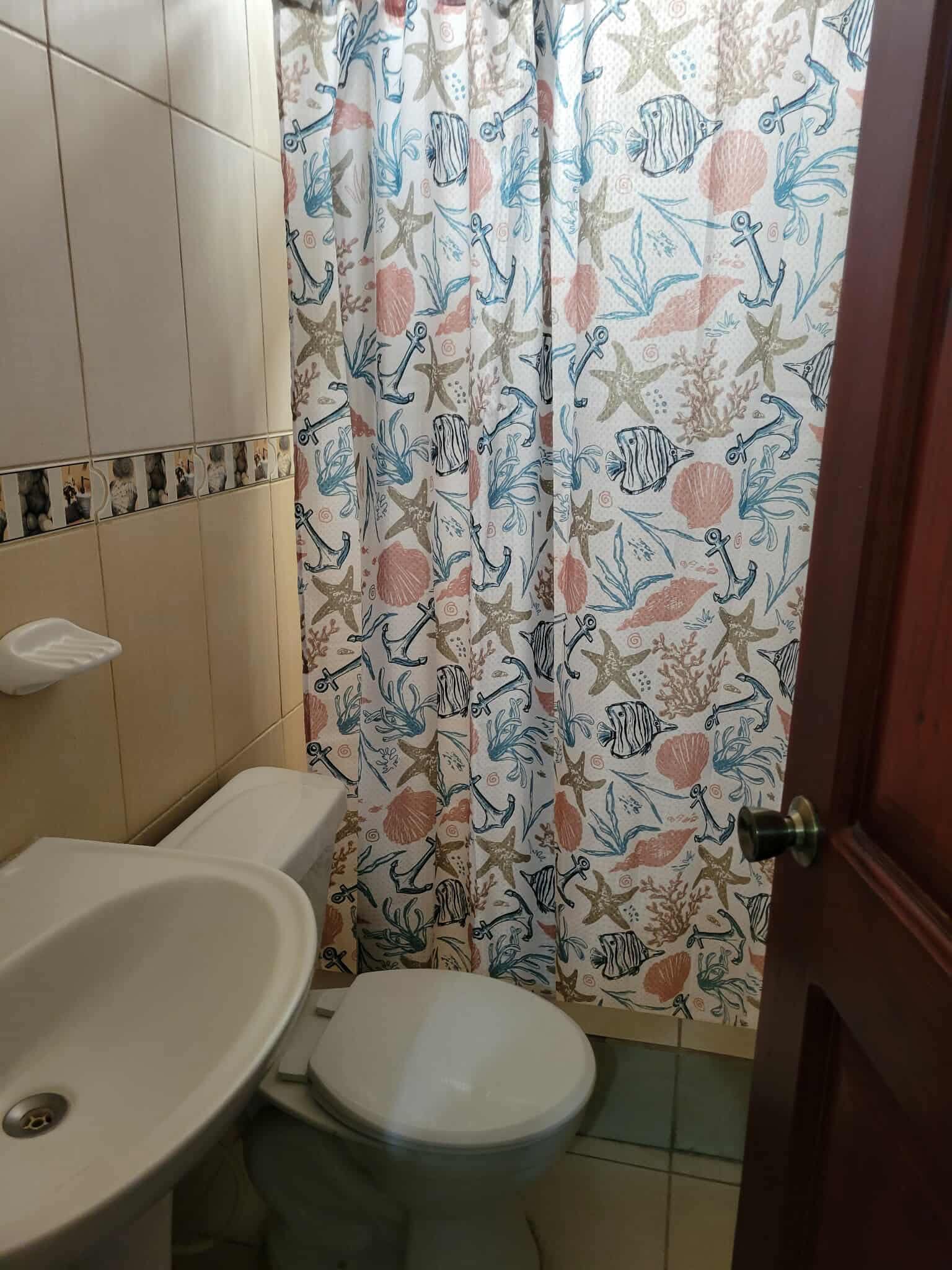 Shower, towels, soap, toilet paper