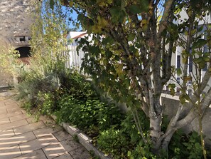 Property grounds - Holiday Home 'Chez Christine et Jean-Louis' with Private Terrace and Wi-Fi (Fouras)