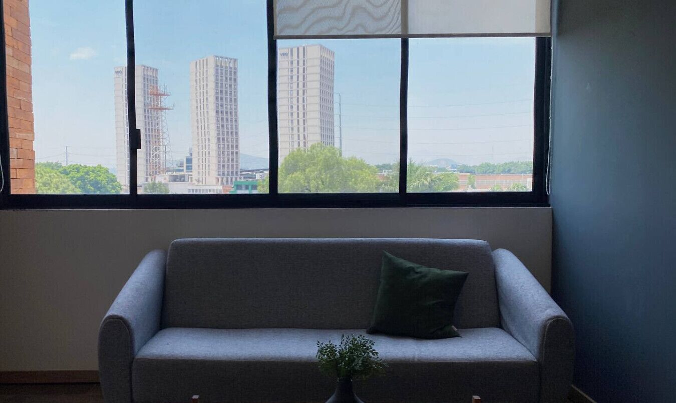 Une pièce avec un canapé gris, un coussin vert et un vase contenant une plante. Une grande fenêtre offre une vue sur de hauts immeubles et sur la verdure environnante.