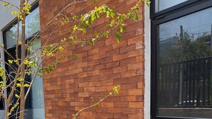 A building with a brick facade and a large window. - Depa con Jardín en la Americana | Lapso at Alarcón (Guadalajara)