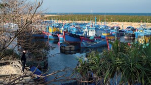 Un port de plaisance où sont amarrés de nombreux bateaux, une plage de sable en arrière-plan et une personne debout au bord de l’eau.