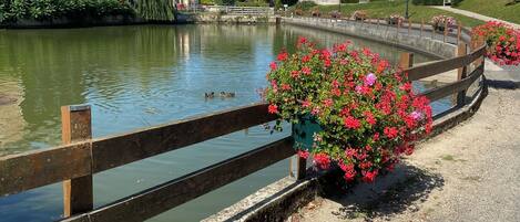 A canal with ducks, a church, and a bridge.