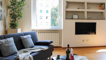 Fernseher, Kamin