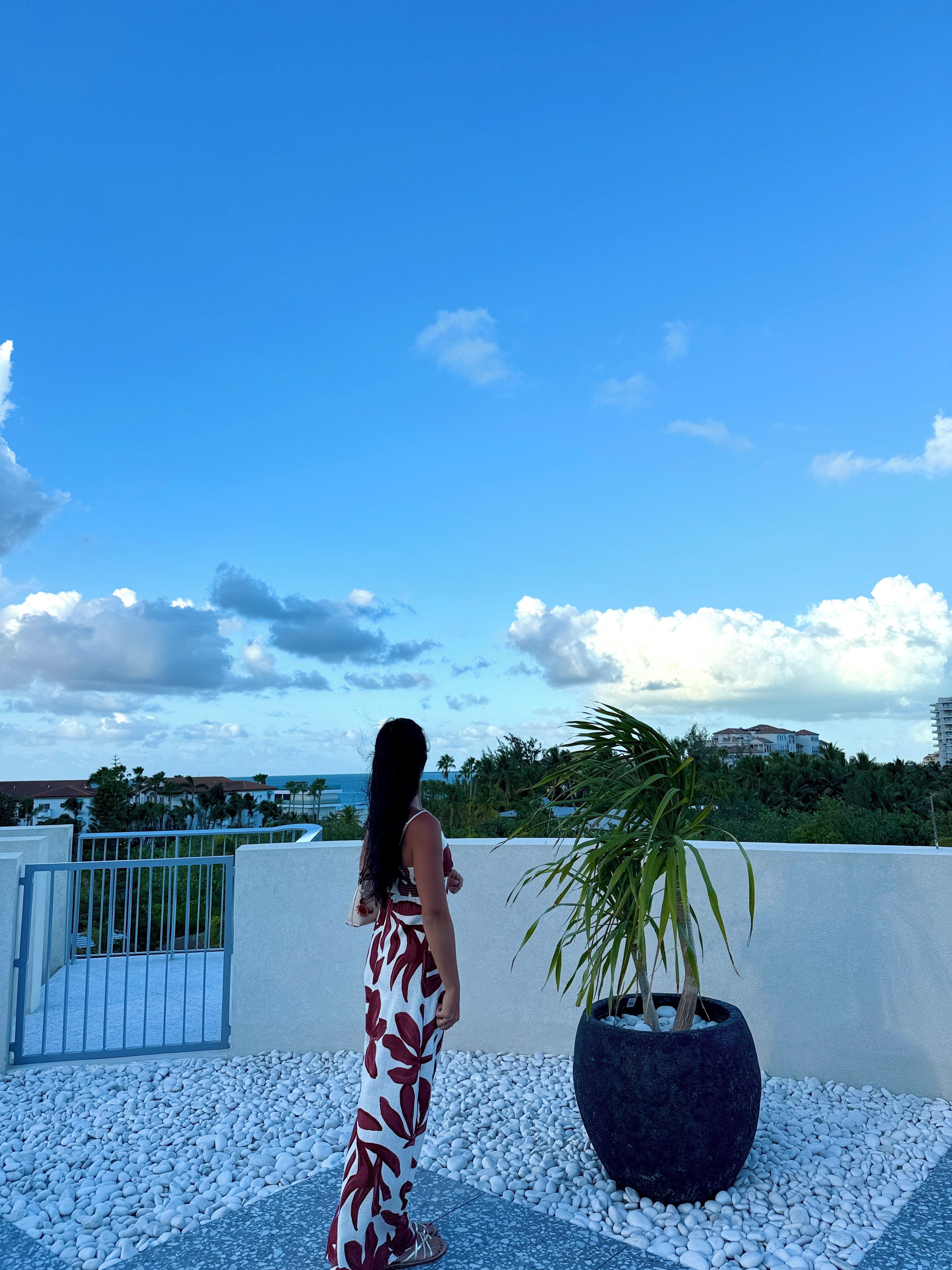 Eine Person steht auf einer Dachterrasse mit Blick auf das Meer und Palmen.