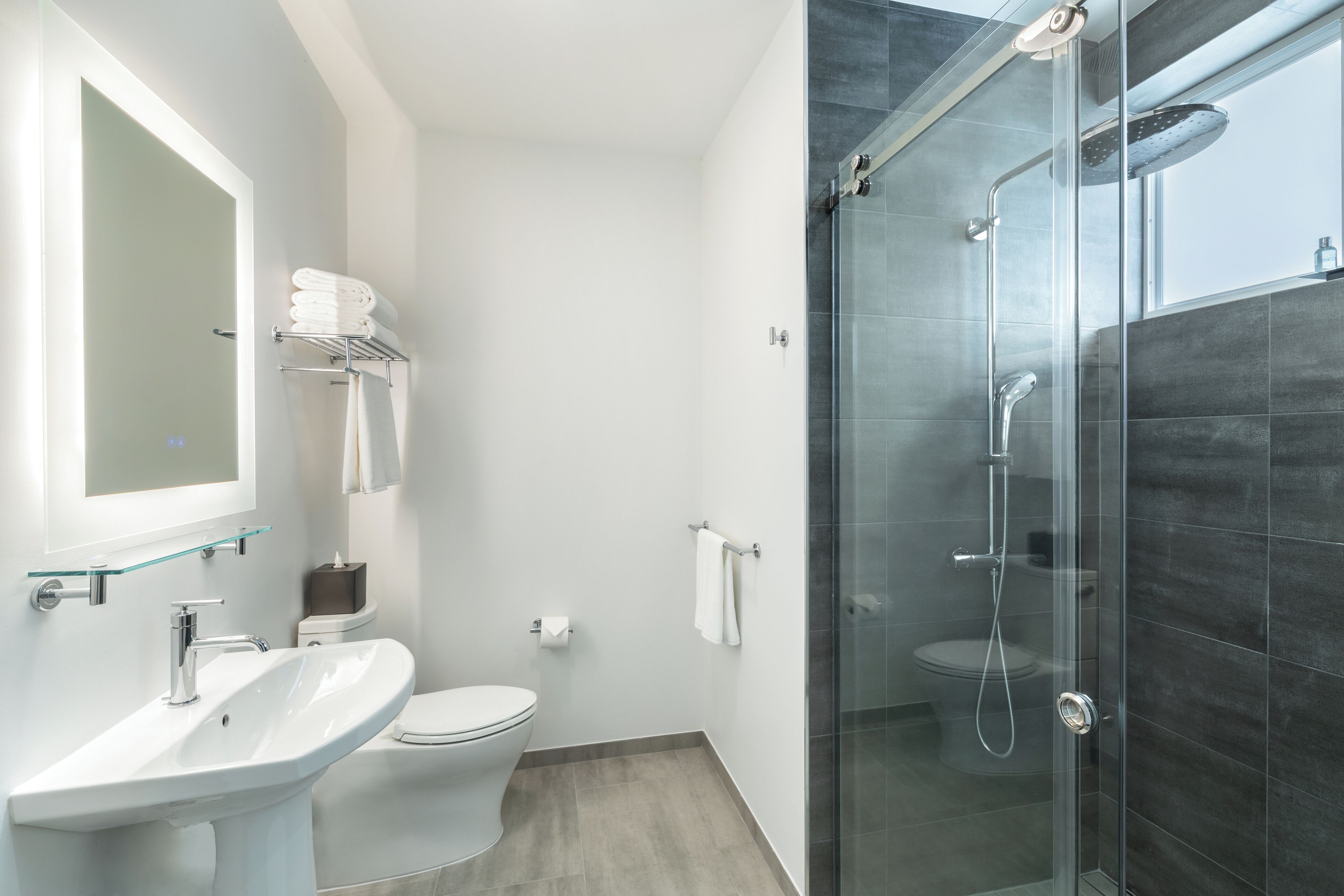 Une salle de bain moderne avec une douche à parois de verre, un lavabo blanc et des toilettes.