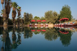 Property grounds - DAR TANIA, Contemporary villa with private heated pool Ourika road (Marrakech)