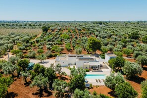 A modern villa surrounded by olive groves, with a swimming pool and outdoor seating area. - Villa Carina Mima by Wonderful Italy (Ceglie Messapica)