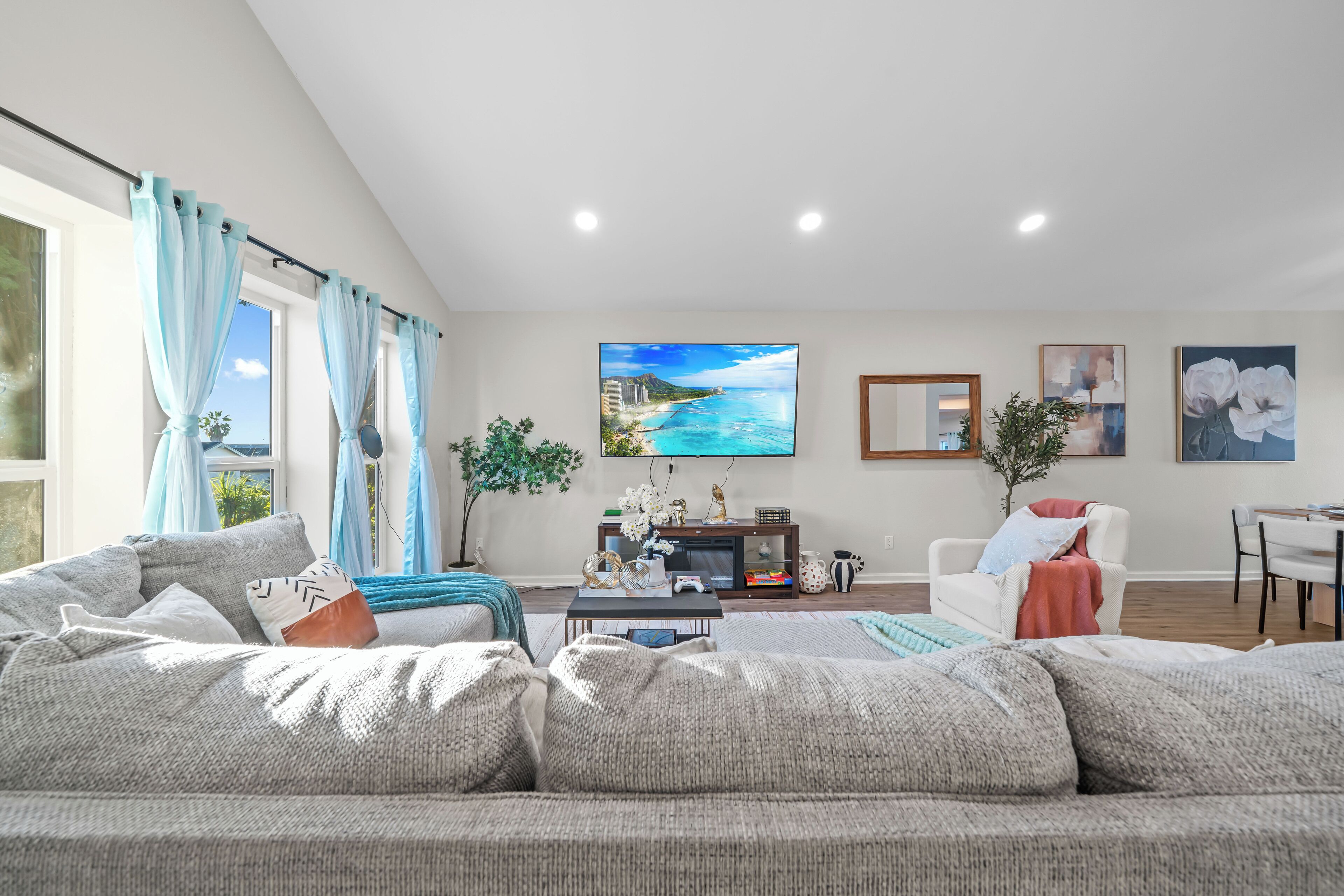 Smart TV, video games, books, music library