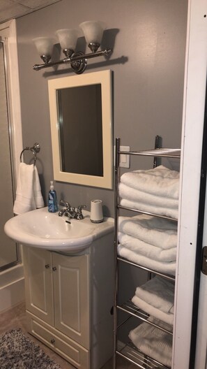 Regadera, secadora de cabello, jabón