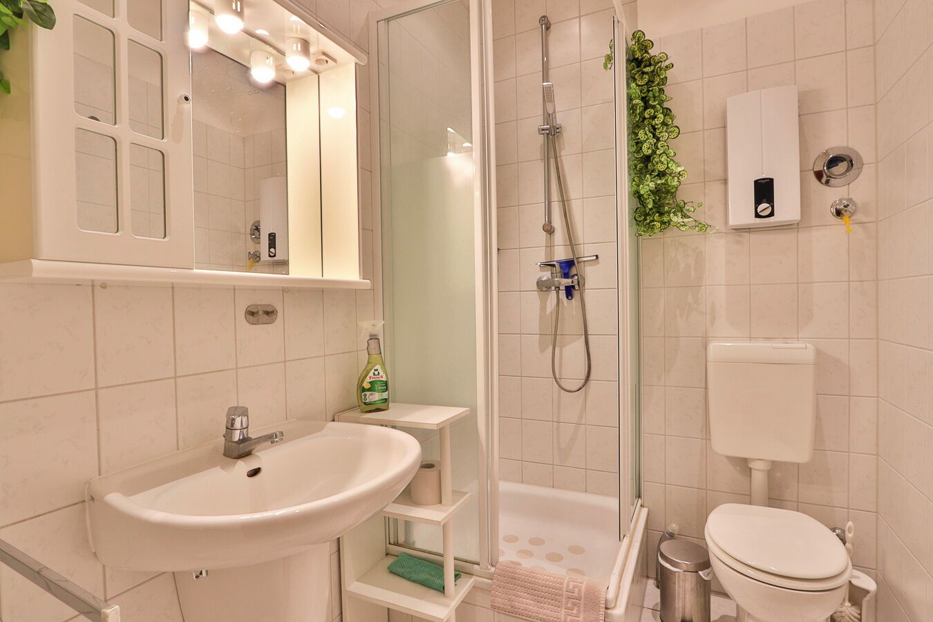 Shower, hair dryer