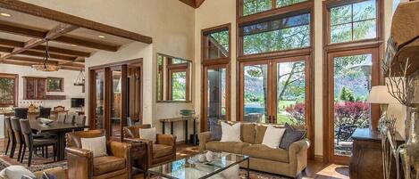 TV connectée, cheminée, lecteur de DVD, livres