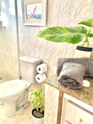 Sèche-cheveux, serviettes fournies, papier toilette