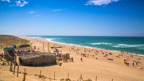 ビーチの近く、ビーチバー