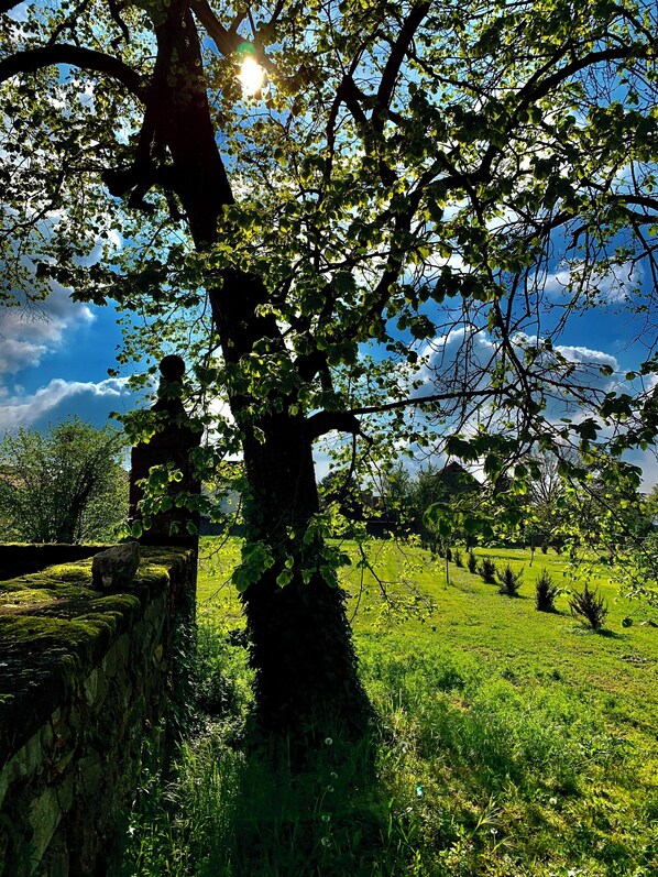 Overnattingsstedets uteområder