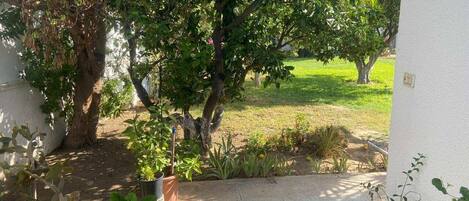 المنطقة المحيطة بالمنشأة