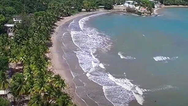 A coastal landscape with a beach, waves, and dense greenery. - Palmas View 2 (catano)