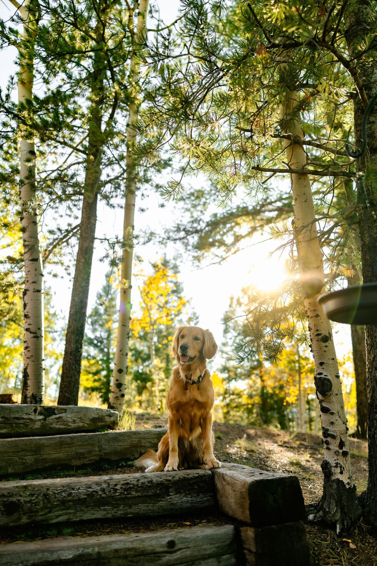 Overnatningsstedets område