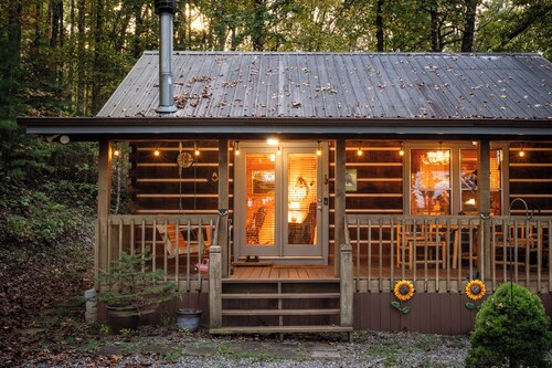 Wildcat Retreat - Cozy Couple's Retreat in Suches, Georgia!