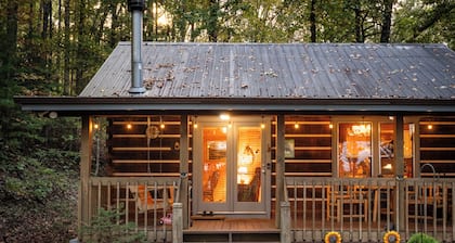 Wildcat Retreat - Cozy Couple's Retreat in Suches, Georgia!
