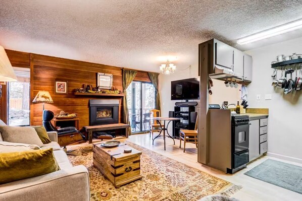 TV, fireplace, ping pong, stereo