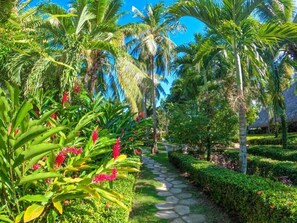 Exterior - Dreamer Palomino (Palomino)