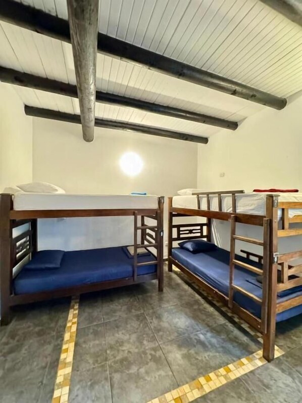 Superior Shared Dormitory | Free WiFi - Dreamer Palomino (Palomino)