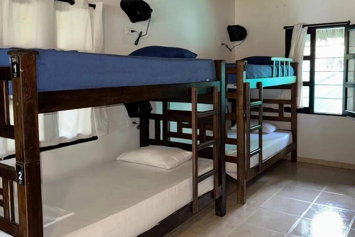 Basic Shared Dormitory, Terrace, Garden View | WiFi (free), bed sheets