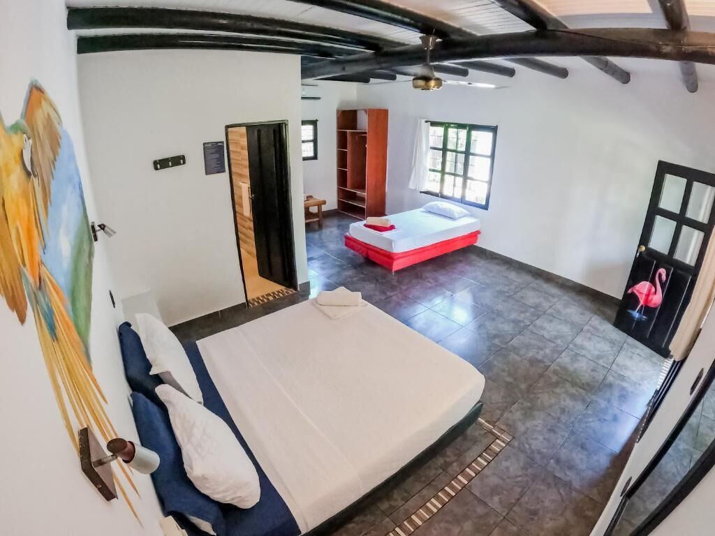 A spacious room with a large bed, a wardrobe, and a window.