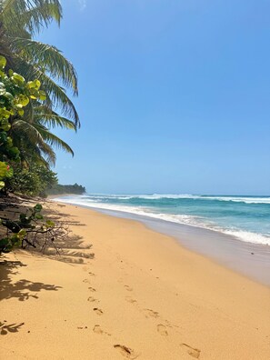Une plage de sable avec des empreintes, des palmiers et des vagues de l’océan.
