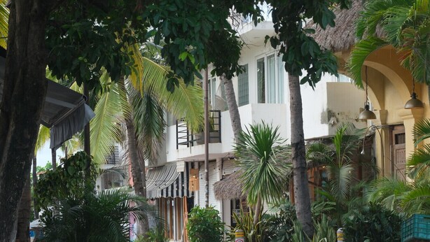 Un patio con palmeras, mobiliario exterior y un edificio con techo de paja.
