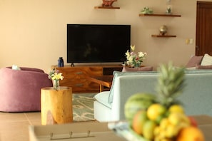 TV, books
